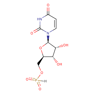 4okk_2 Structure