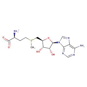 4pgh_1 Structure