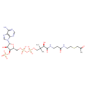 4pzt_1 Structure