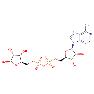 4ros_1 Structure