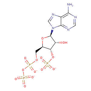 4rvn_2 Structure