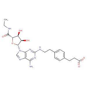 4ug2_2 Structure