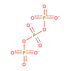 4uxj_6 Structure