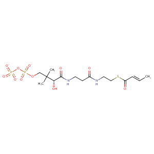 4was_1 Structure