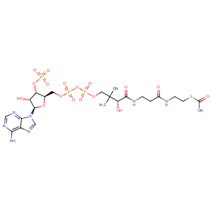 4xnh_1 Structure