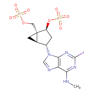 4xnw_1 Structure