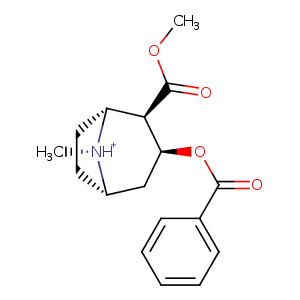 4xp4_3 Structure