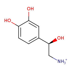 4y4j_1 Structure