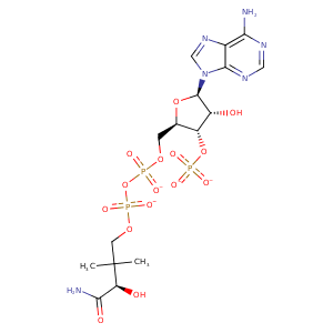 4zdc_1 Structure