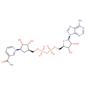 4zzj_1 Structure