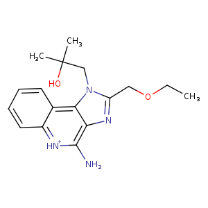 5ans_1 Structure