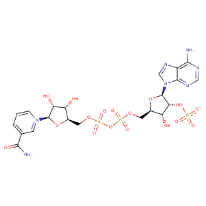 5aq1_2 Structure