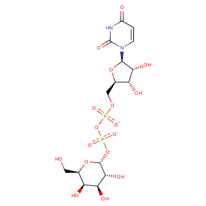 5c1g_1 Structure