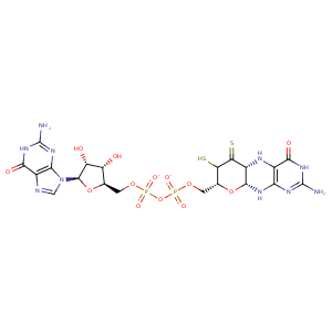 5ch7_1 Structure