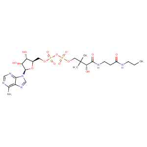 5e5h_1 Structure