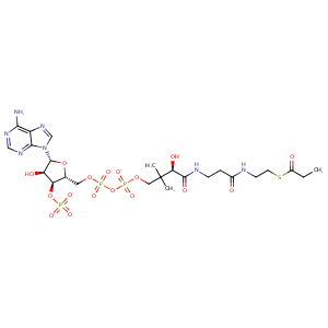 5h84_1 Structure