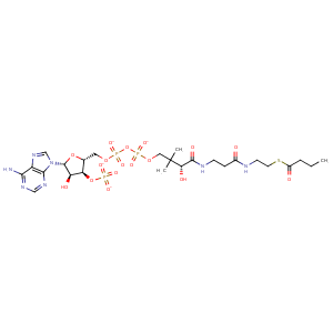 5h86_1 Structure