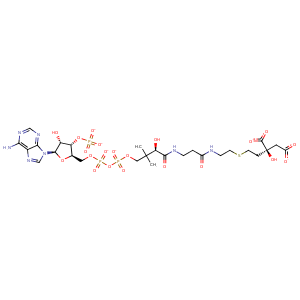 6cts_1 Structure