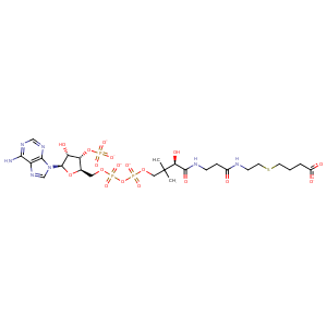 6req_2 Structure