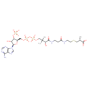 7req_2 Structure